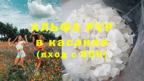 apvp Белокуриха