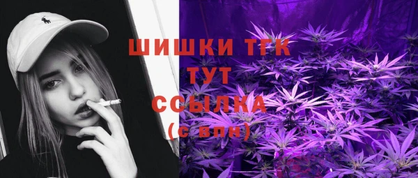 apvp Белокуриха