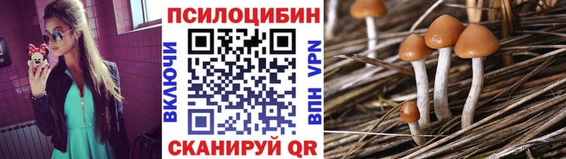 это как зайти  Борисоглебск  Галлюциногенные грибы Psilocybine cubensis 