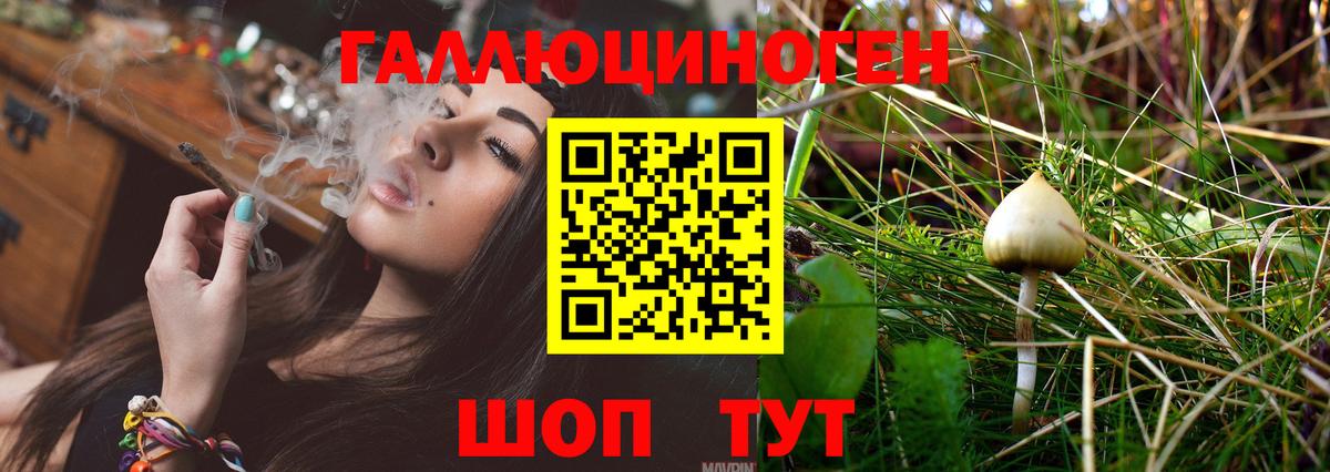 Псилоцибиновые грибы прущие грибы  Псилоцибиновые грибы Magic Shrooms  Вход с VPN  Борисоглебск 
