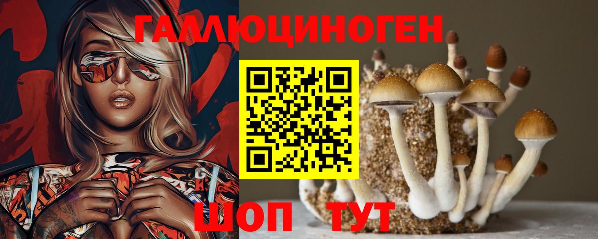 Бошки Шишки  Метадон  Экстази  Борисоглебск  Гашиш  Вход с VPN  Мефедрон  