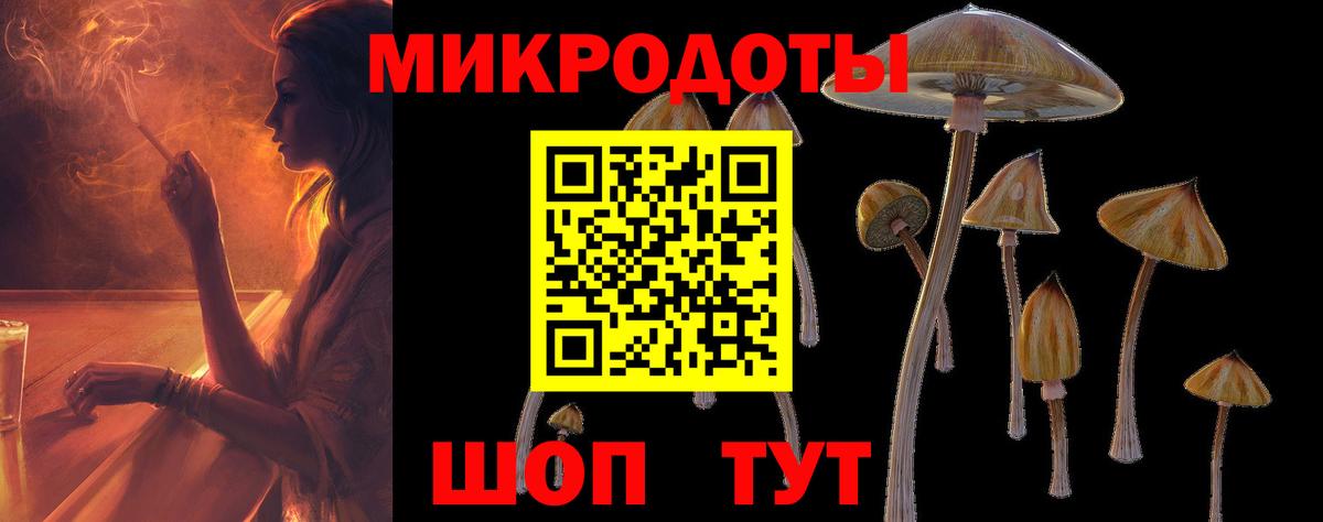 Псилоцибиновые грибы мицелий Борисоглебск